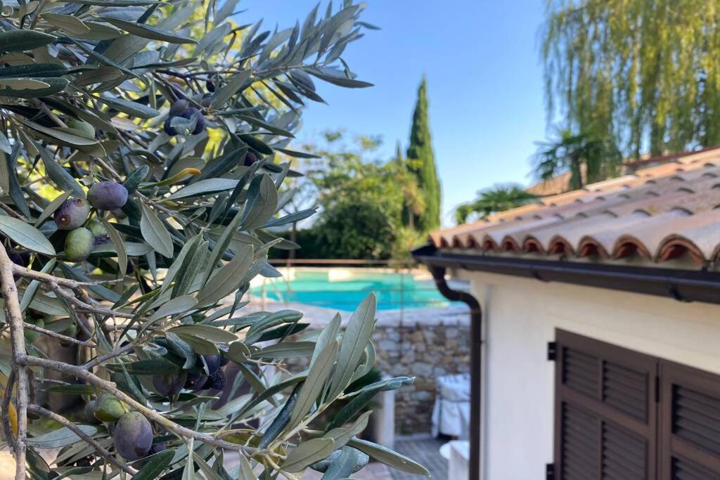 Relais San Sebastiano Villa Pietra Ligure Eksteriør billede