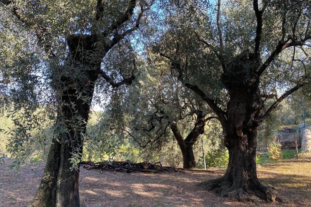 Relais San Sebastiano Villa Pietra Ligure Eksteriør billede